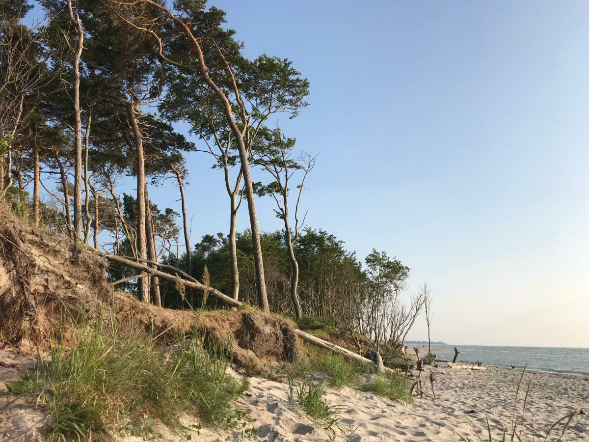"Leuchtturmhaus" By Ferienhaus Strandgut ボルン エクステリア 写真